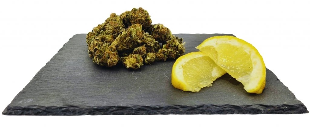 Lemon Haze CBD