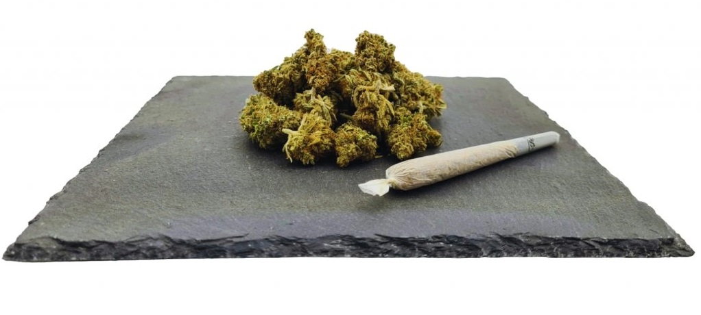 Amnesia Haze CBD