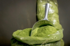 # Kratom i ryzyko przedawkowania: Co zrobić, gdy przesadzisz?
