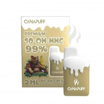 Big Bad Bear 99% 10-OH-HHC - Canapuff