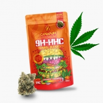 9H-HHC Kwiaty Donny Burger 99% – Canapuff 1 g